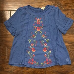 Blue Embroidered Blouse